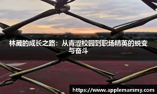 bwin必赢手机下载